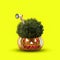 Happy holiday sales. Pumpkin head with bush and megaphone