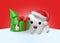 happy holidays 3d rendering cute kawaii healthy tooth with christmas gift and christmas tree