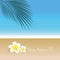 Happy holidays frangipani exotic flowers and palm leaf on beautiful beach summer background