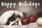 Happy Holidays text on cute kitty sleeping in santa hat on bed w