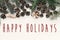 Happy Holidays text on modern christmas flat lay with green fir