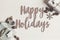 Happy holidays text, seasonal greetings card sign. flat lay. sty