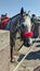 A happy Horse Saying Hi To The Crowd Before A Race