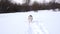 A happy husky dog runs through the white snow