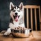 A happy husky puppy eagerly eating its kibble from a bowl by AI generated