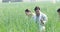 Happy Indian farmer in agricultural field outdoor