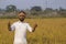 Happy Indian farmer showing thumb's up in beautiful golden paddy field