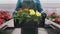 Happy Industrial Greenhouse Worker Carry Boxes Full of Flowers. Smiling and Happy man with flowers he Growing.