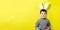 Happy joyful boy 3-4 years old with bunny ears on his head in a gray jacket plays with colorful eggs, shows easter eggs on a