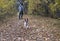 A happy and joyful boy walks with his buddy, a Boston terrier puppy, in a beautiful golden autumn forest.