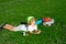 Happy kid boy enjoying on grass field and dreaming. Summer holiday. Carefree kid boy having fun on spring day at the