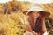 Happy kid girl in straw having fun outdoor on summer sunny field