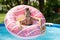 Happy kid swim in donut pool float in swimming pool on sunny summer day, floatation