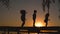 Happy kids jumping together during sunset in the park, silhouettes