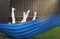 happy kids relaxing in a hammock outdoor. children\\\'s feet barefoot. Holidays vacation