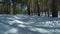 Happy kids ride on snowmobile together in forest