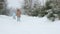 Happy kids running on snowy spruce forest.