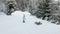 Happy kids running on snowy spruce forest.