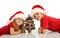 Happy kids with small christmas tree