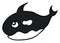 Happy killer whale, illustration, vector