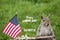 Happy Labor Day Go NUTS! text with smiling patriotic Gray Squirrel and American Flag green grass