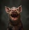 happy and laughing wild boar on a dark background. generative AI