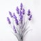 Happy Lavender Flowers: Sculptural Arrangements In Light Black And Gray