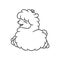 Happy leaping fluffy alpaca, sheep, llama animal cartoon outline