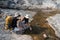 Happy LGBT Lesbian couple Travelers Hiking with Backpacks in waterfall Trail. LGBT Lesbian Couple Hikers with backpacks