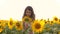 Happy lifestyle little girl on the field of sunflowers in summer. beautiful little girl in sunflowers. slow motion video