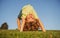 Happy little boy laying upside down on grass. Kids exploring nature, summertime.