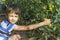 Happy little boy picking fresh tomatoes vegetables in greenhouse. Family, gardening, lifestyle concept