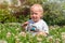 Happy little boy sits in a field of green grass and flowers