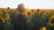 A happy little girl in the hat is smiling at the field of sunflowers at sunset time.