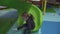 Happy little girl moving down on slide in children`s play center