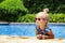 Happy little girl in outdoor swimming pool on hot summer day. Kids learn to swim. Children play in tropical resort. Family beach