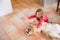 Happy little girl playing to touch hands with dog