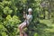 Happy little girl riding a zip line in a lush tropical forest