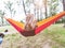 Happy little girls relax on hammock in nature