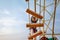 Happy little kid boy climbing on high rope course trail. Active child making adventure and action on family vacations