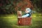 Happy little kid boy playing with bear toy while sitting in basket on green autumn lawn. Children enjoying activity outdoor.