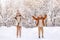 Happy little kids brother and sister rejoicing first snow in snowy winter park