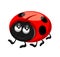 A happy little ladybird