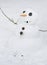 Happy little snowman