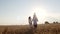 Happy loving family of three together walks holding hands, relax in nature field