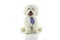 HAPPY MALTESE BICHON DOG STICKING OUT TONGUE AND SMILING WEARIN