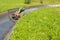 Happy Man Enjoying Alpine Coaster Luge