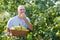 Happy man gathers apples