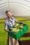 Happy man in greenhouse holding box with romaine lettuce harvest, concept, close-up