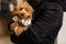 Happy man hugging curly funny little poodle. Beautiful dog breed toy poodle in his hands. Man love for a pet. portrait